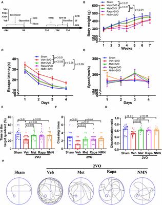 Metformin, Rapamycin, or Nicotinamide Mononucleotide Pretreatment Attenuate Cognitive Impairment After Cerebral Hypoperfusion by Inhibiting Microglial Phagocytosis